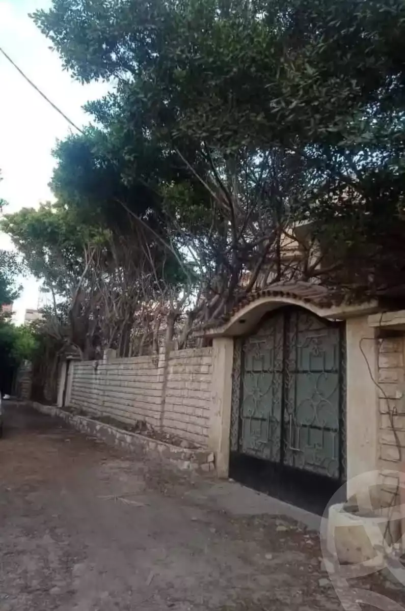 https://aqarmap.com.eg/en/listing/6050658-for-sale-alexandria-l-jmy-bw-ywsf
