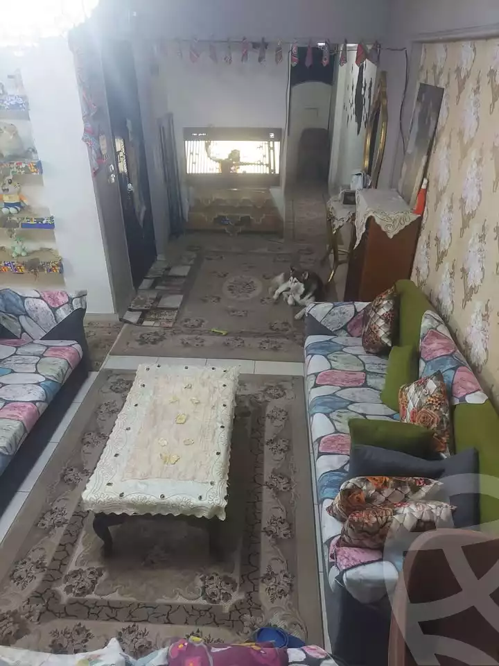 https://aqarmap.com.eg/en/listing/6053214-for-sale-alexandria-miami-bilal-ibn-rabbah-st