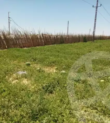 https://aqarmap.com.eg/en/listing/6055782-for-sale-beheira-wadi-el-natrun