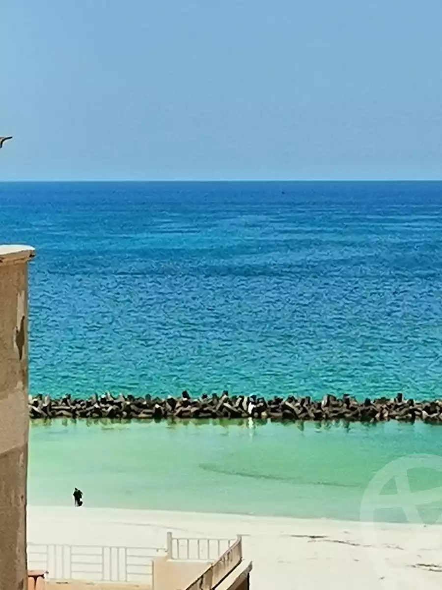 https://aqarmap.com.eg/en/listing/6057037-for-sale-alexandria-l-jmy-shataa-el-nakheel-street-2