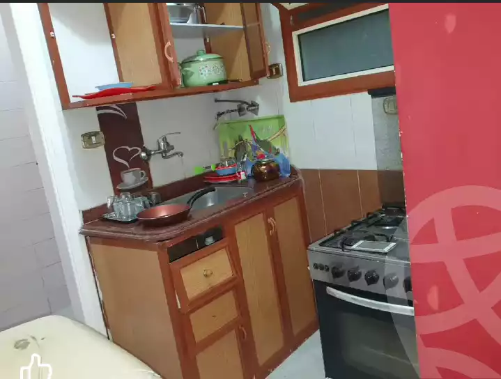 https://aqarmap.com.eg/en/listing/6057937-for-rent-alexandria-el-asafra-shr-ljysh