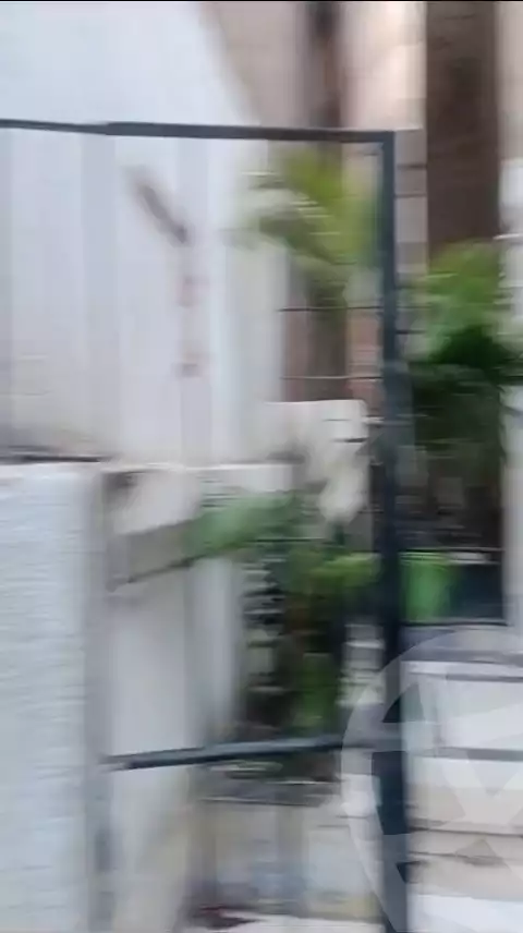 https://aqarmap.com.eg/en/listing/6058185-for-rent-cairo-dokki-mohey-el-din-abo-el-ezz