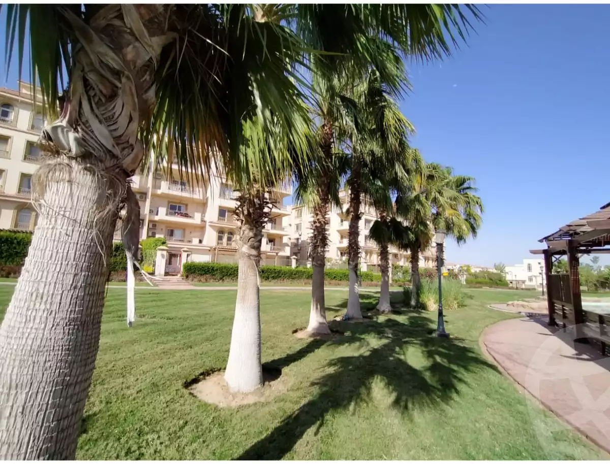 https://aqarmap.com.eg/en/listing/6059873-for-rent-cairo-el-sheikh-zayed-city-compounds-greens