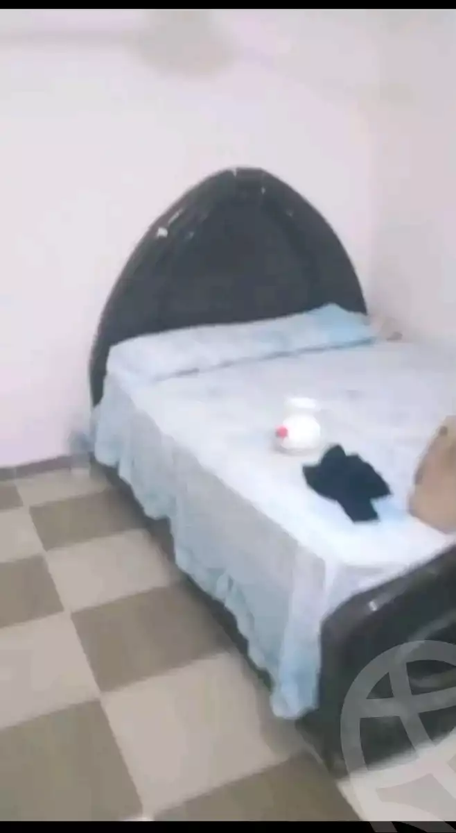 https://aqarmap.com.eg/en/listing/6060944-for-sale-alexandria-l-jmy-bw-ywsf