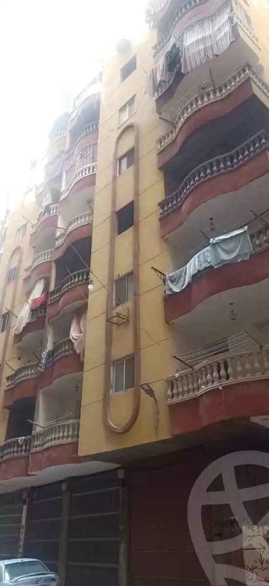 https://aqarmap.com.eg/en/listing/6065361-for-rent-cairo-faisal-el-maryotyah