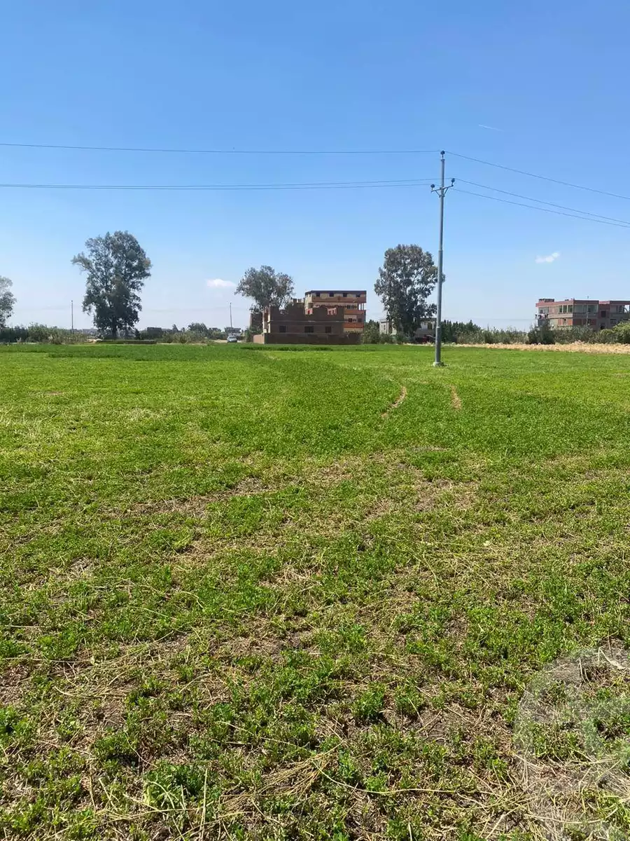 https://aqarmap.com.eg/ar/listing/6068178-for-sale-dakahlia-belqas-besndela