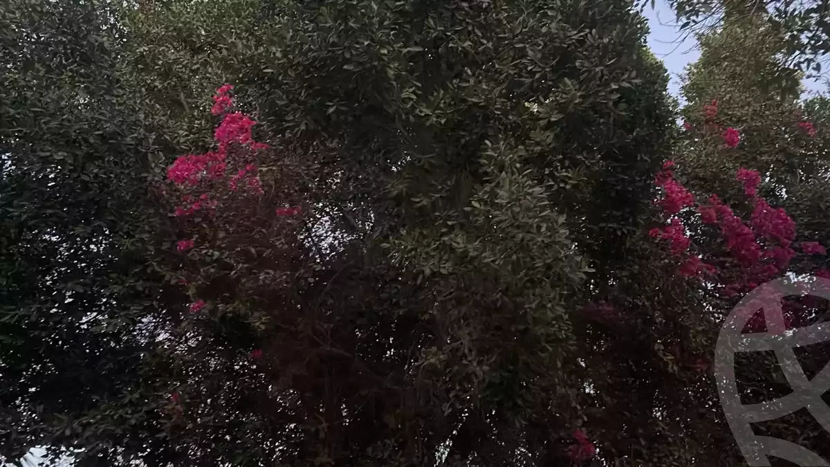https://aqarmap.com.eg/en/listing/6068843-for-sale-cairo-6th-of-october-green-belt-wadi-el-nile