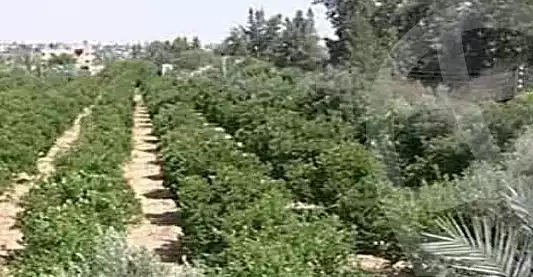 https://aqarmap.com.eg/en/listing/6071550-for-sale-gharbia-el-mahallah-el-kubra