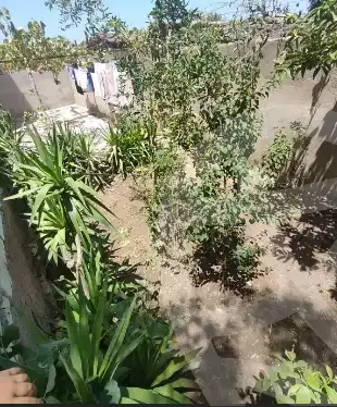 https://aqarmap.com.eg/en/listing/6071556-for-sale-gharbia-qutur