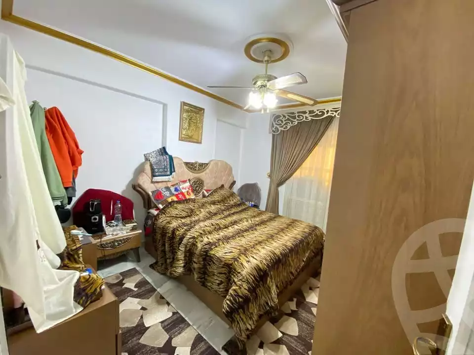 https://aqarmap.com.eg/en/listing/6075116-for-sale-alexandria-fleming-mostafa-kamel-st