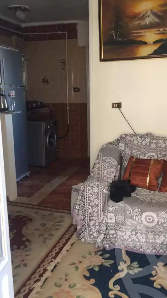 https://aqarmap.com.eg/ar/listing/6075675-for-sale-alexandria-moharram-bey-kanal-al-mahmoudeya-al-bahri-st