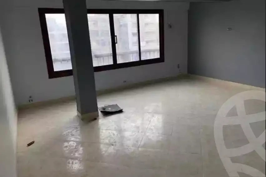https://aqarmap.com.eg/en/listing/6076260-for-rent-cairo-heliopolis-gesr-elsuez-main-street