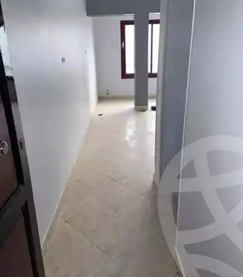 https://aqarmap.com.eg/en/listing/6076260-for-rent-cairo-heliopolis-gesr-elsuez-main-street