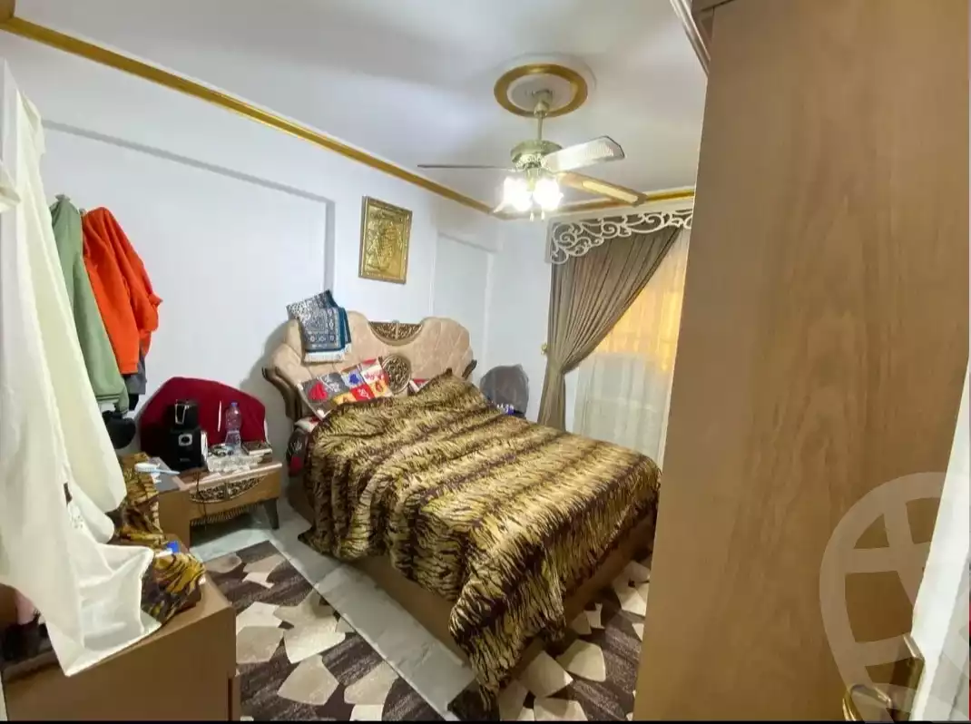 https://aqarmap.com.eg/en/listing/6077082-for-sale-alexandria-fleming
