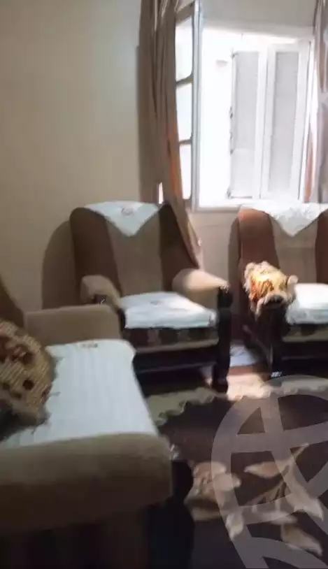 https://aqarmap.com.eg/en/listing/6080067-for-sale-cairo-el-haram-bolak-el-dakror-nahia-st