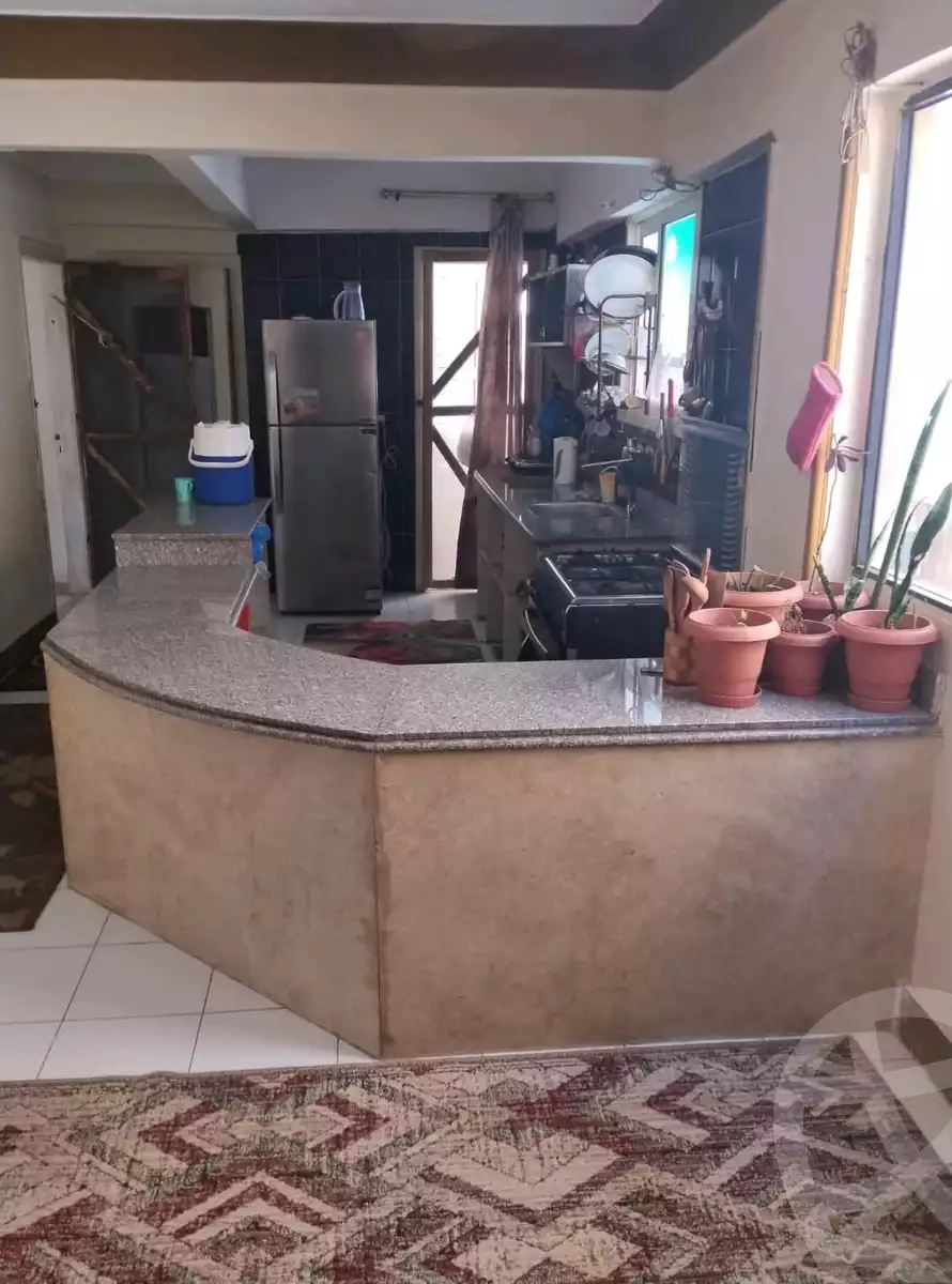 https://aqarmap.com.eg/en/listing/6080857-for-sale-alexandria-l-jmy-lbytsh