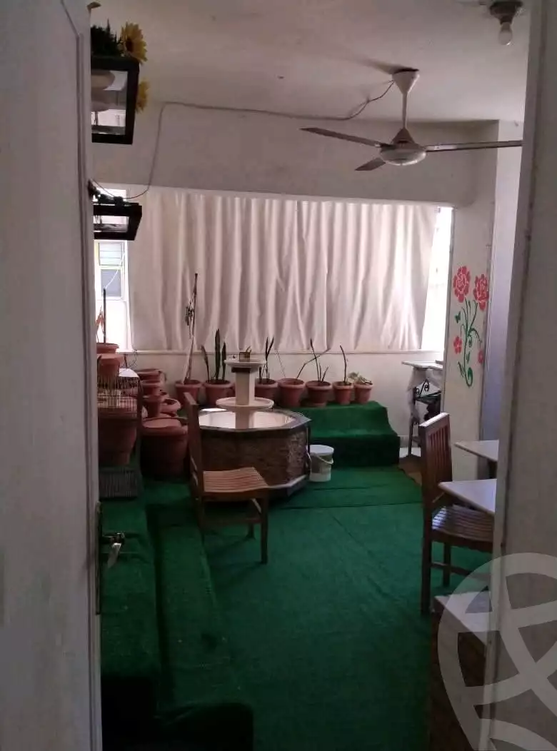https://aqarmap.com.eg/en/listing/6080857-for-sale-alexandria-l-jmy-lbytsh