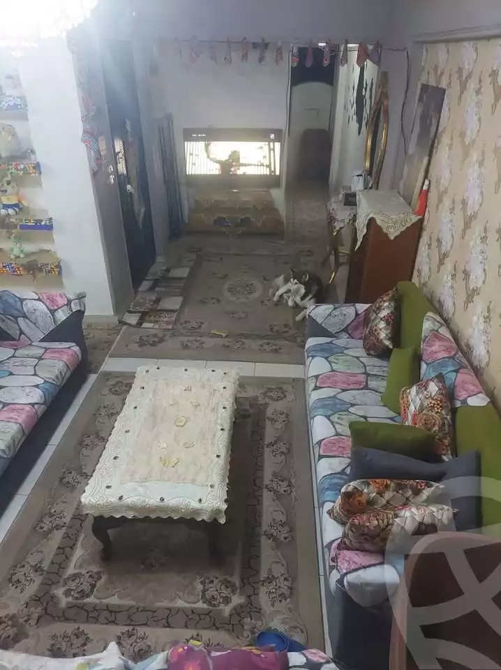 https://aqarmap.com.eg/en/listing/6083572-for-sale-alexandria-miami-bilal-ibn-rabbah-st