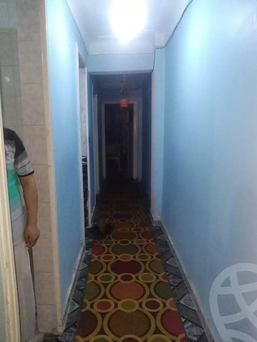 https://aqarmap.com.eg/en/listing/6085351-for-sale-alexandria-l-jmy-lbytsh-princess-st