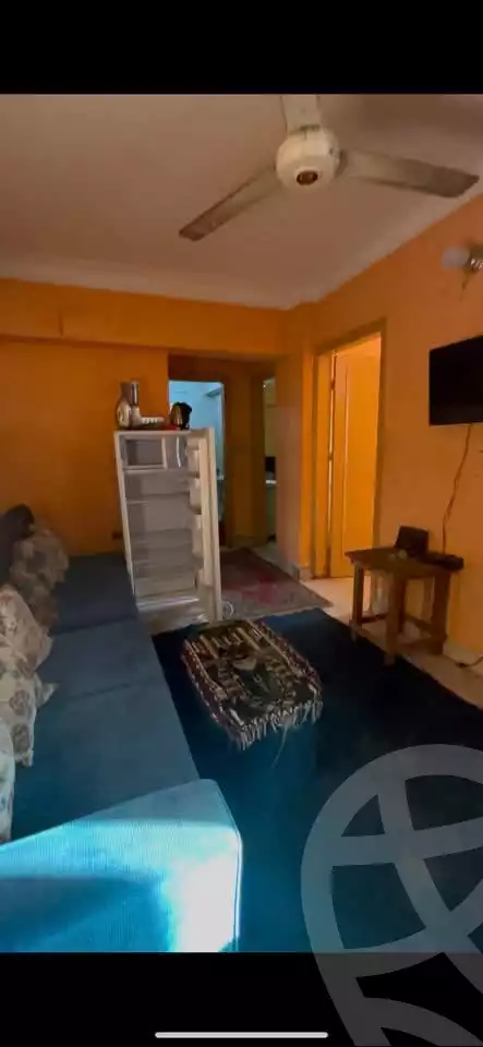 https://aqarmap.com.eg/en/listing/6087840-for-rent-monufia-shibin-el-kom