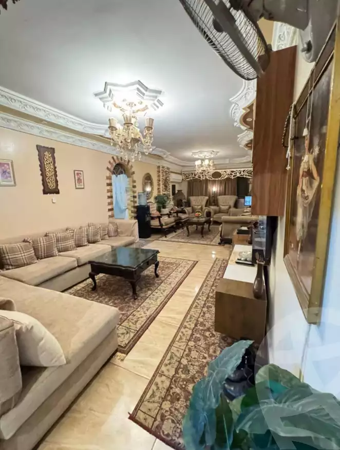 https://aqarmap.com.eg/en/listing/6088269-for-sale-cairo-ain-shams-mnshy-lthryr