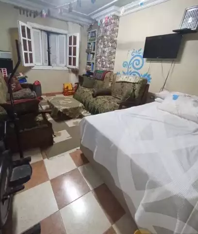 https://aqarmap.com.eg/en/listing/6090433-for-sale-alexandria-ganaklis