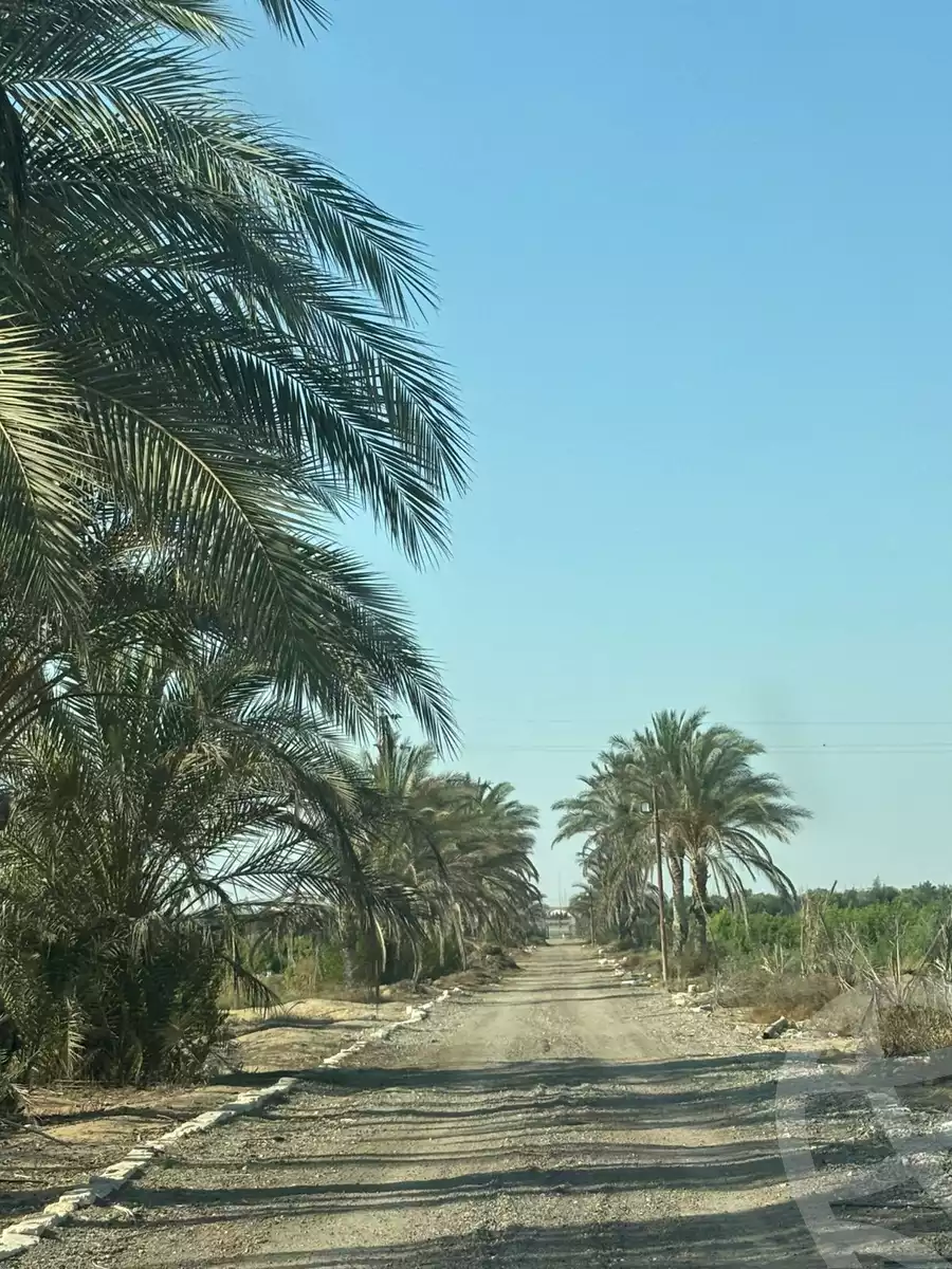 https://aqarmap.com.eg/en/listing/6090938-for-sale-monufia-sadat-city-el-khatatbah