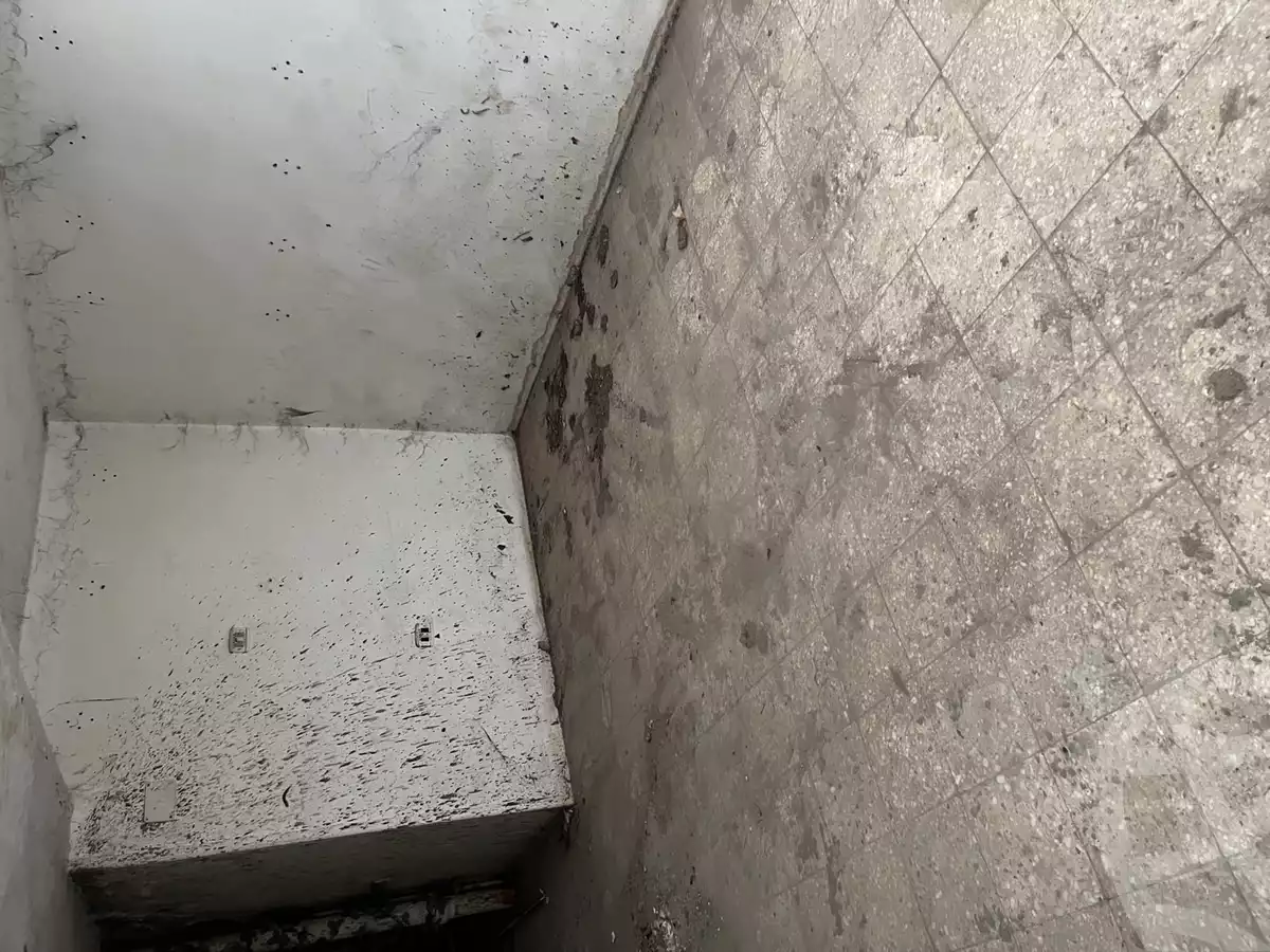 https://aqarmap.com.eg/en/listing/6093039-for-sale-monufia-shibin-el-kom-el-barr-el-sharqy