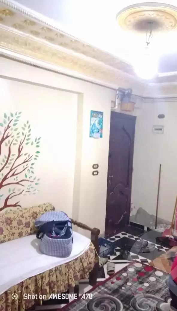 https://aqarmap.com.eg/ar/listing/6098256-for-sale-alexandria-el-dekhela
