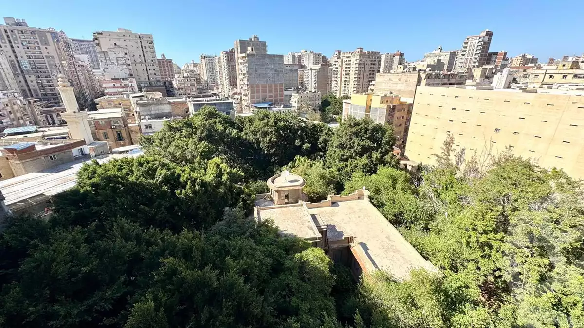 https://aqarmap.com.eg/en/listing/6099655-for-sale-alexandria-shds