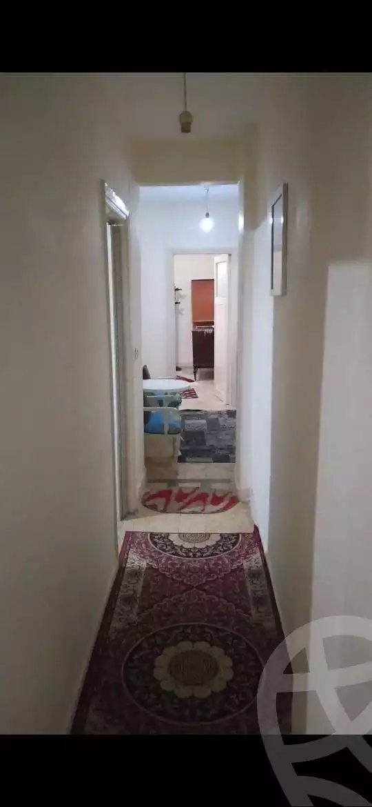 https://aqarmap.com.eg/en/listing/6100332-for-rent-alexandria-lauran-mohammed-al-eqbal-st