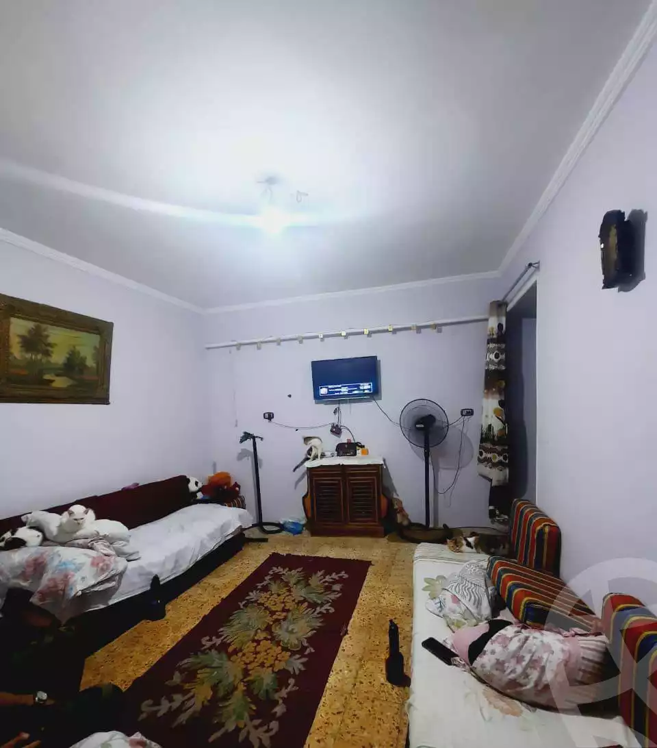https://aqarmap.com.eg/en/listing/6101770-for-sale-alexandria-l-jmy-lbytsh-al-kaada-st