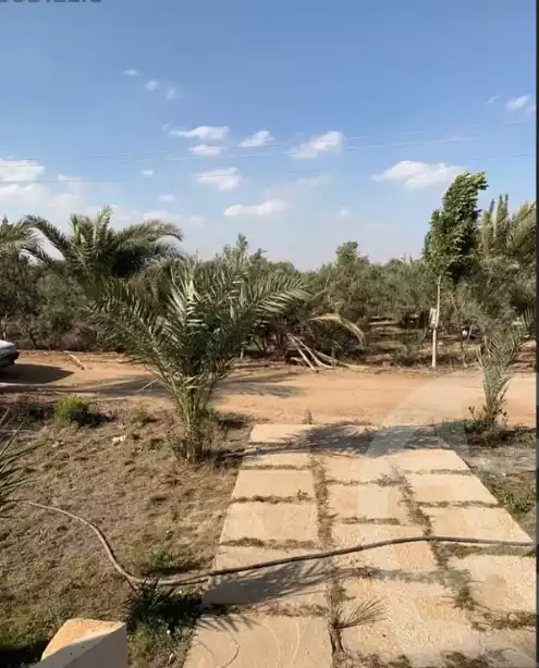https://aqarmap.com.eg/en/listing/6101904-for-sale-ismailia-abu-sweer