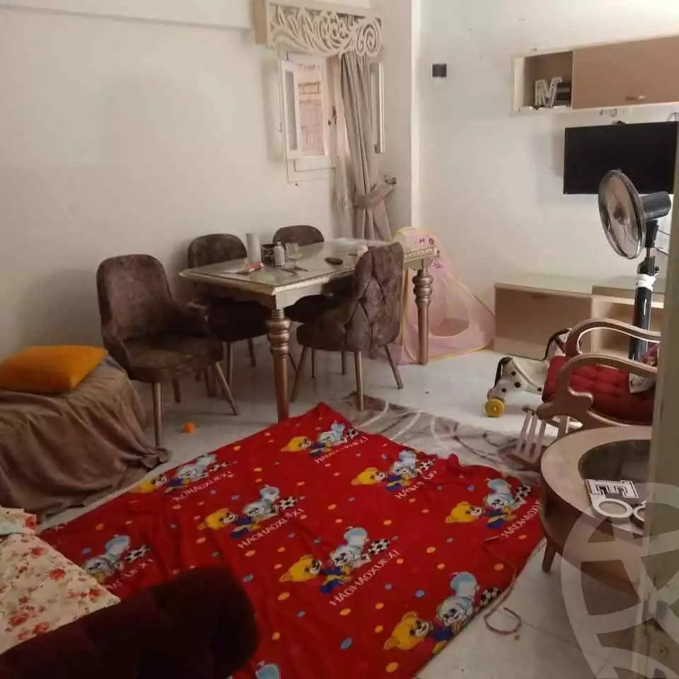 https://aqarmap.com.eg/en/listing/6102728-for-sale-alexandria-l-jmy-lbytsh-el-hay-st
