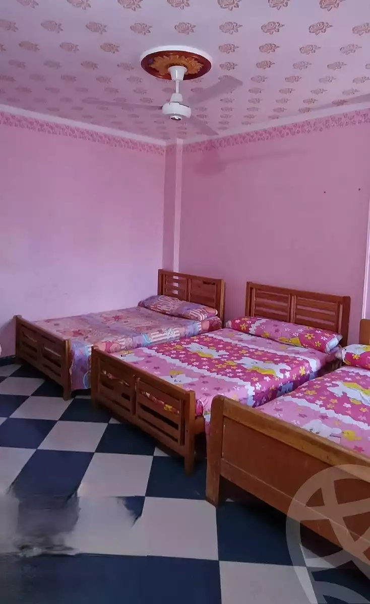https://aqarmap.com.eg/en/listing/6103834-for-rent-suez-faisal-el-nour