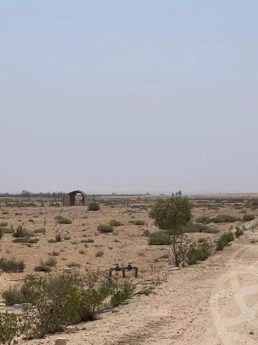 https://aqarmap.com.eg/en/listing/6105257-for-sale-beheira-wadi-el-natrun-bany-salama