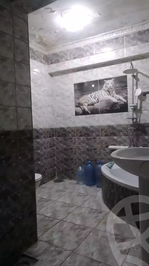 https://aqarmap.com.eg/en/listing/6106122-for-sale-alexandria-l-jmy-lbytsh-ain-shams-st