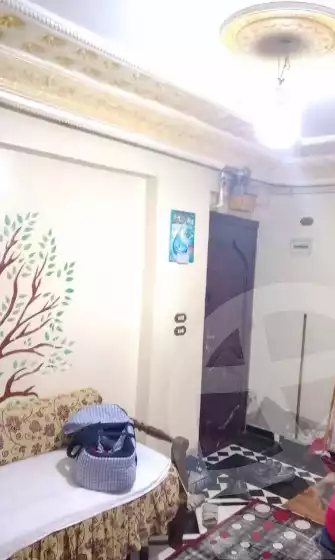 https://aqarmap.com.eg/en/listing/6102116-for-sale-alexandria-el-dekhela