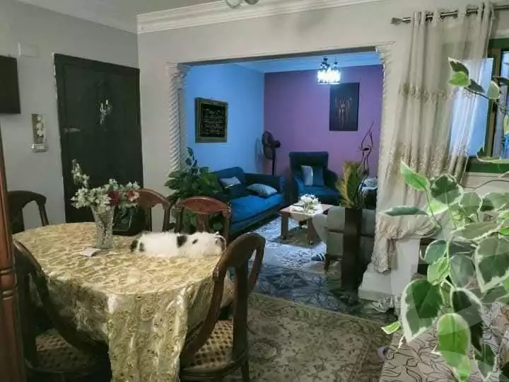 https://aqarmap.com.eg/ar/listing/6108630-for-sale-cairo-ain-shams-ain-shams-el-sharkia