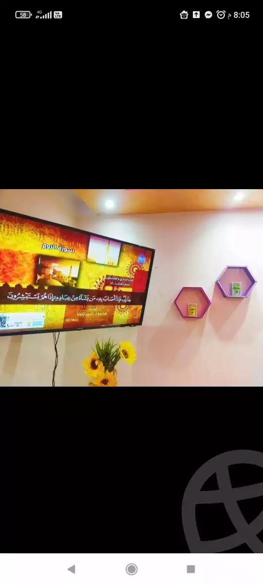 https://aqarmap.com.eg/en/listing/6108857-for-rent-alexandria-el-asafra