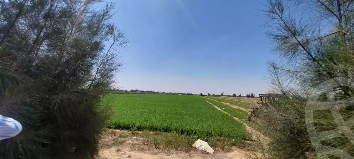 https://aqarmap.com.eg/en/listing/6110206-for-sale-ismailia-el-qantara-gharb