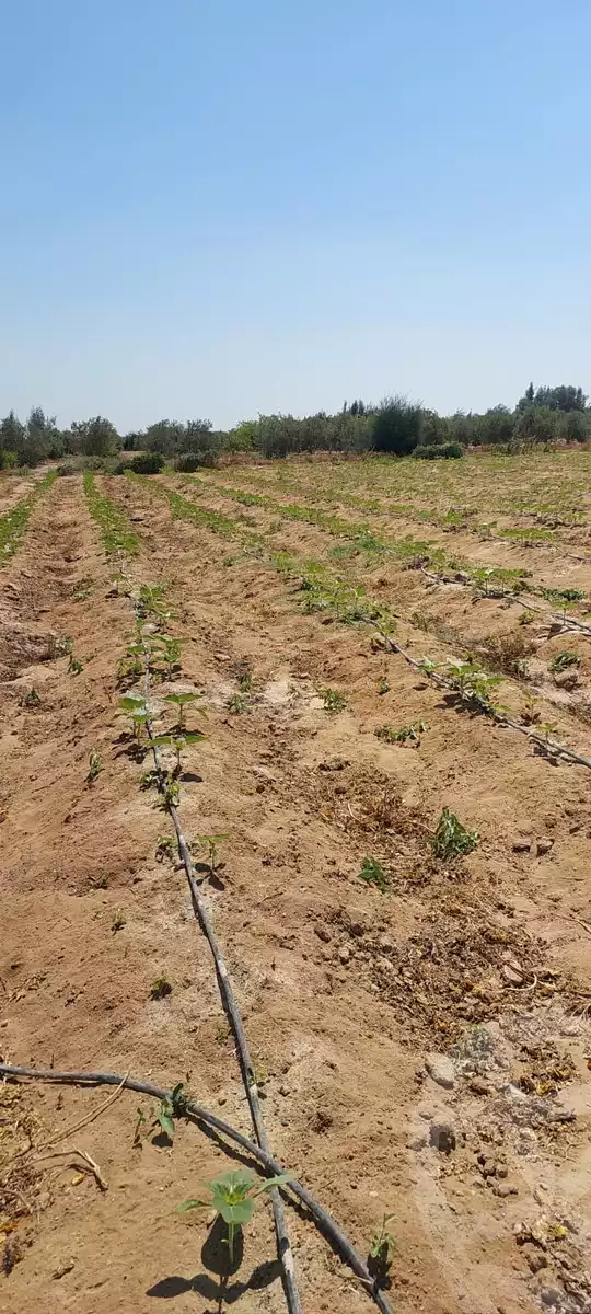 https://aqarmap.com.eg/en/listing/6110206-for-sale-ismailia-el-qantara-gharb