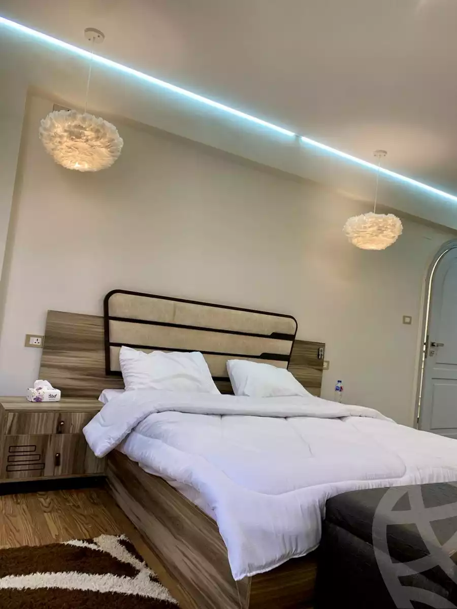 https://aqarmap.com.eg/ar/listing/6106466-for-rent-cairo-dokki-mohey-el-din-abo-el-ezz