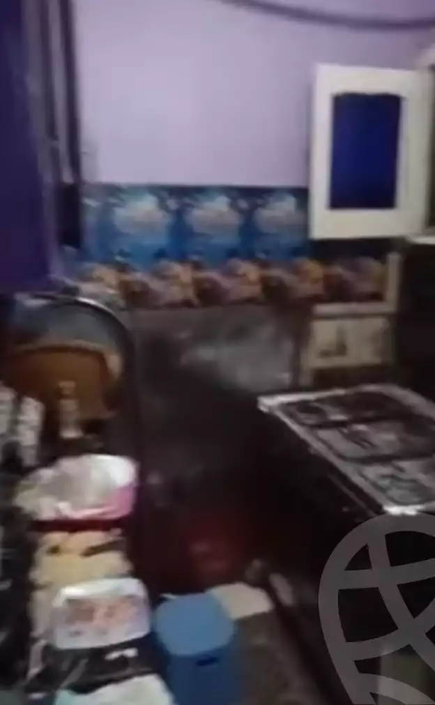 https://aqarmap.com.eg/en/listing/6114869-for-sale-qalyubia-el-khsos