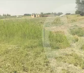 https://aqarmap.com.eg/en/listing/6116136-for-sale-beheira-wadi-el-natrun