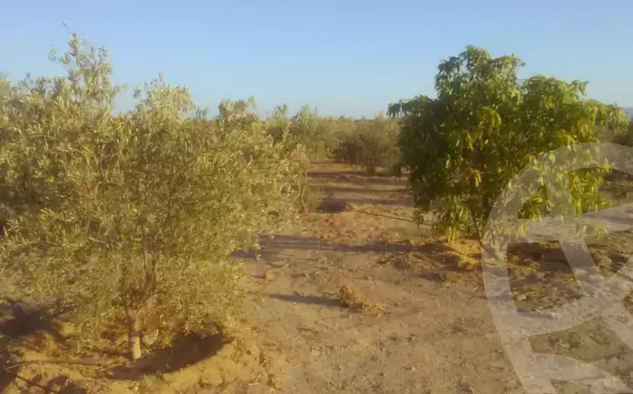 https://aqarmap.com.eg/ar/listing/6119797-for-sale-suez-el-ganain-shandoura-village
