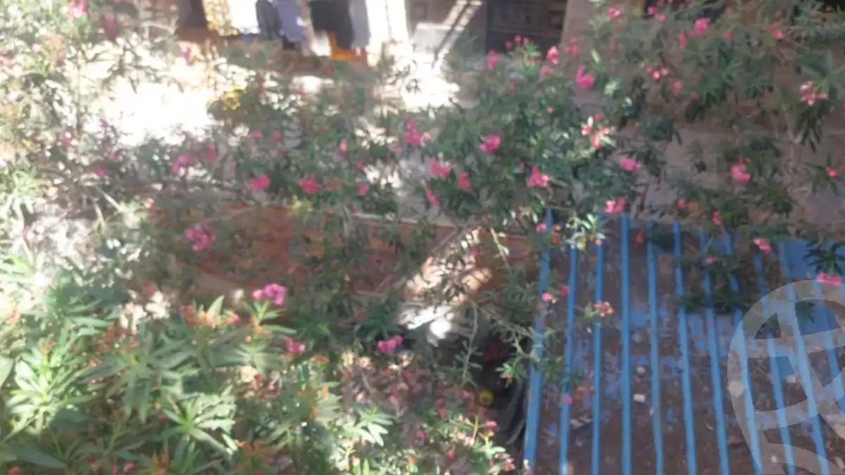 https://aqarmap.com.eg/en/listing/6119994-for-sale-alexandria-l-jmy-lbytsh-shahr-al-assal-st