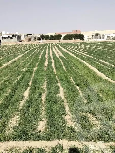 https://aqarmap.com.eg/en/listing/6122652-for-sale-sohag-akhmim