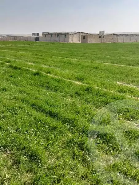 https://aqarmap.com.eg/en/listing/6122652-for-sale-sohag-akhmim