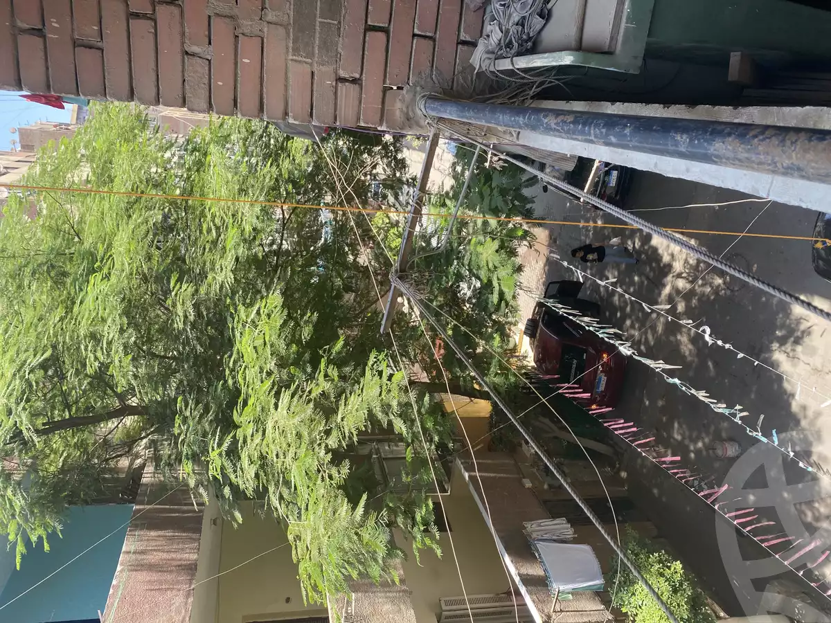https://aqarmap.com.eg/en/listing/6123160-for-sale-cairo-el-haram-el-talbya-ezz-el-deen-omar-st